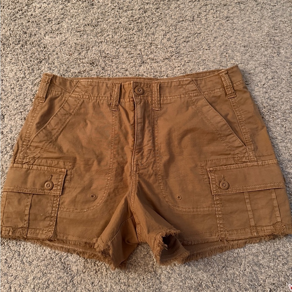 American Eagle Outfitters Brown Cargo Shorts